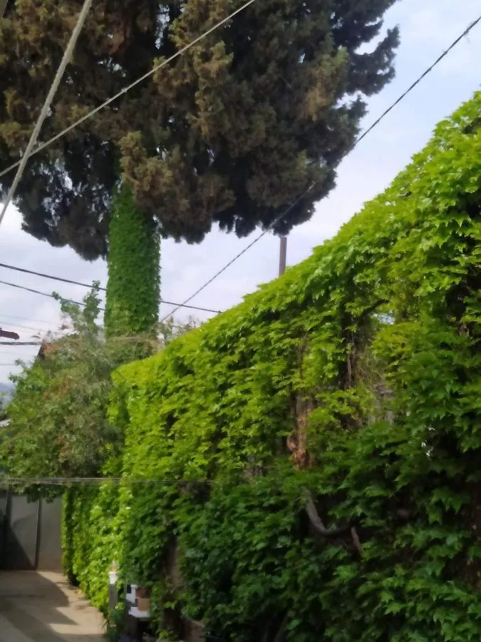 Apartmán Chubinashvili 19 Tbilisi